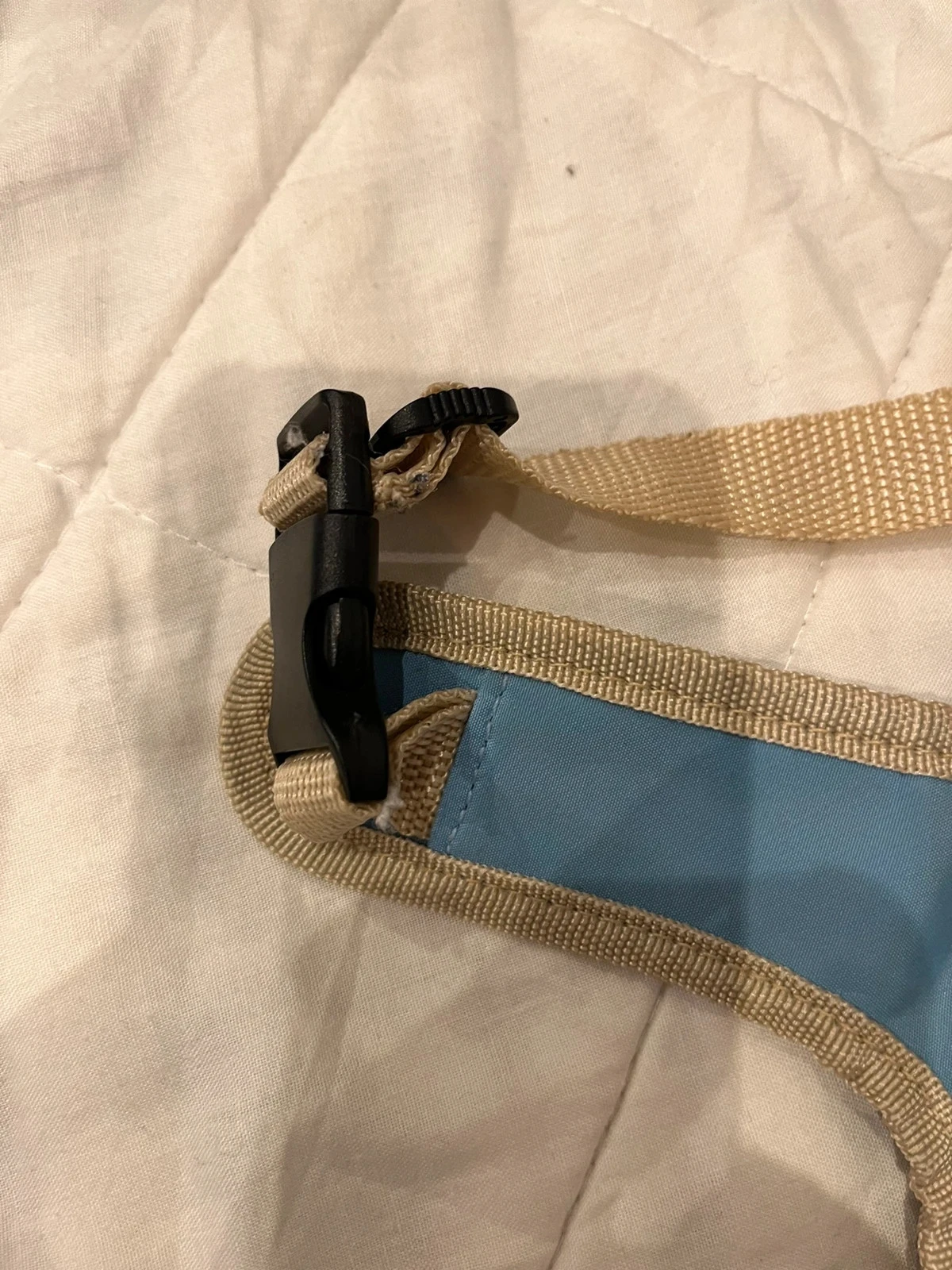 Bandolier – photo 4